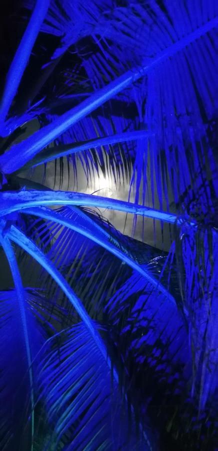 Little Pompeji Boutique Hotel - Adults Only Jambiani  Bagian luar foto